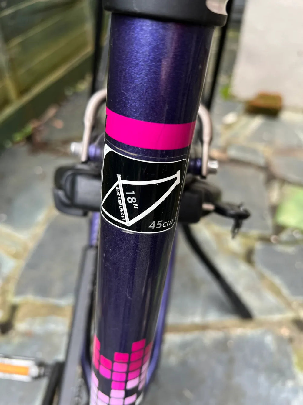 Raleigh Captus 2017
