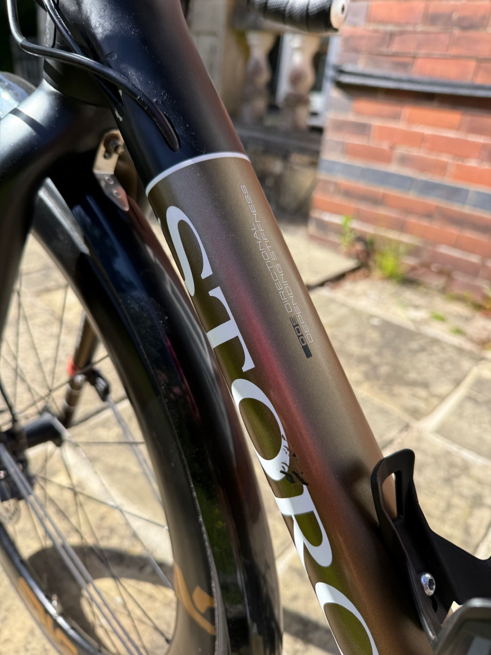 Storck Tix 2020