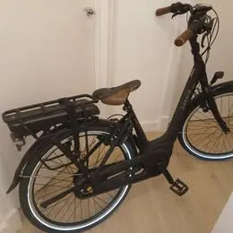 Gazelle Orange C8 2022