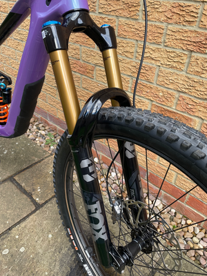 Giant Reign, Advanced Pro 0 2024