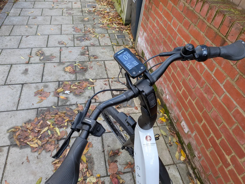 Gazelle Chamonix C5 HMS Low-Step 2023