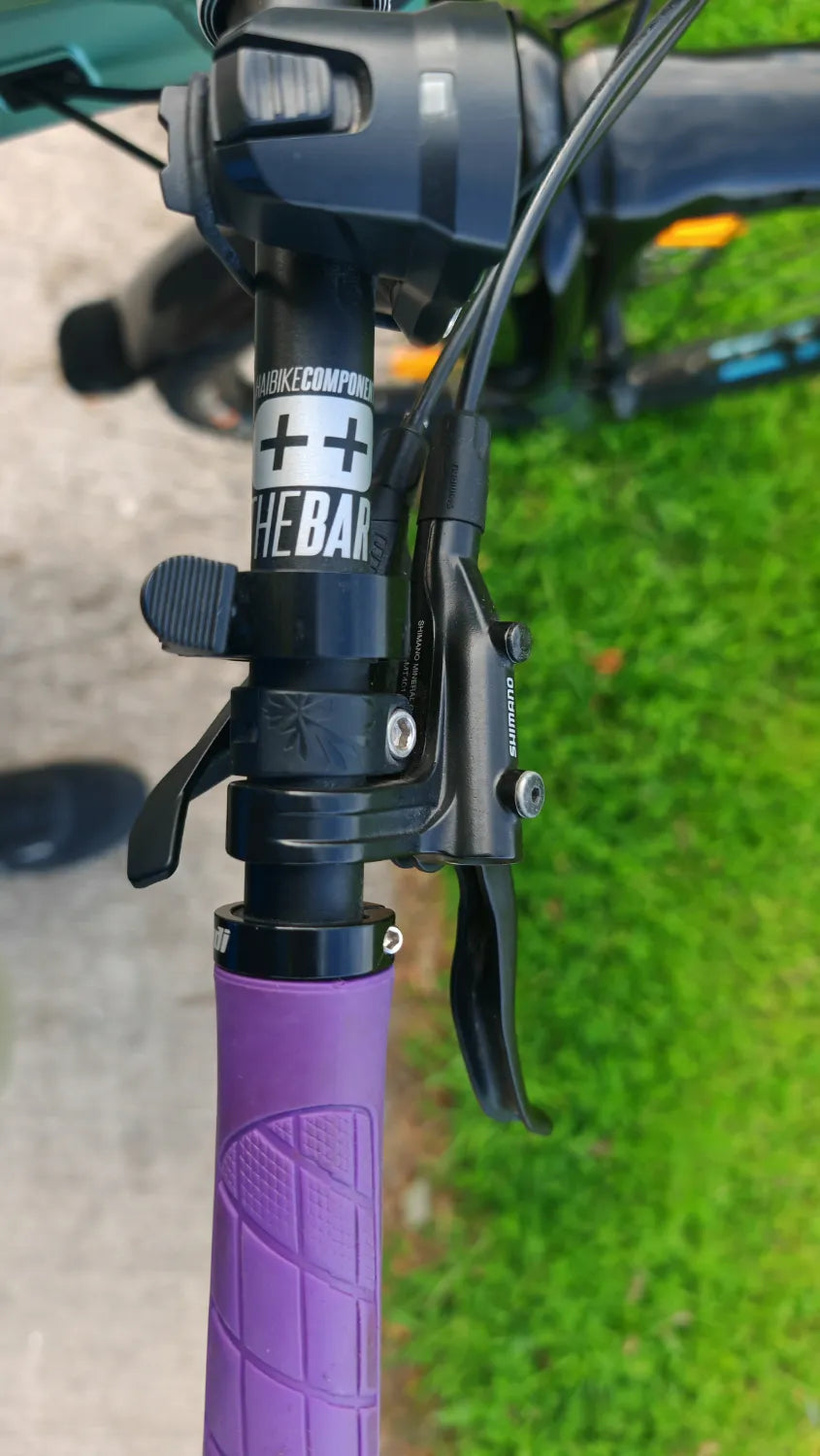 Haibike Allmtn 3 2024