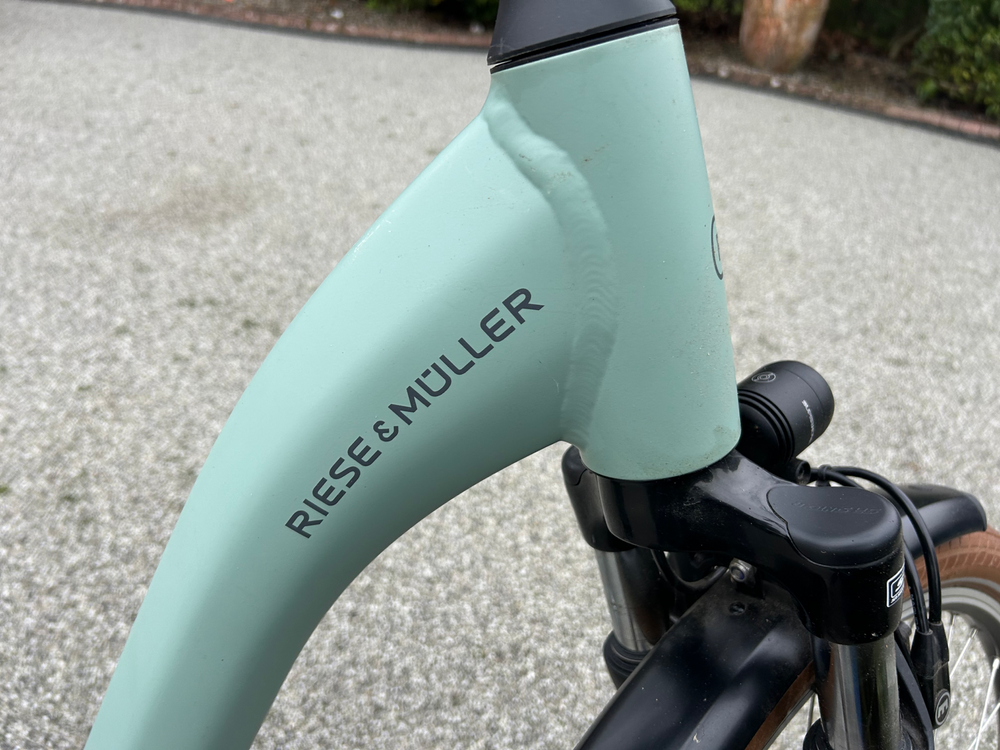 Riese and Muller Swing 3 2020