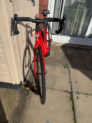 Specialized Creo SL Expert 2020