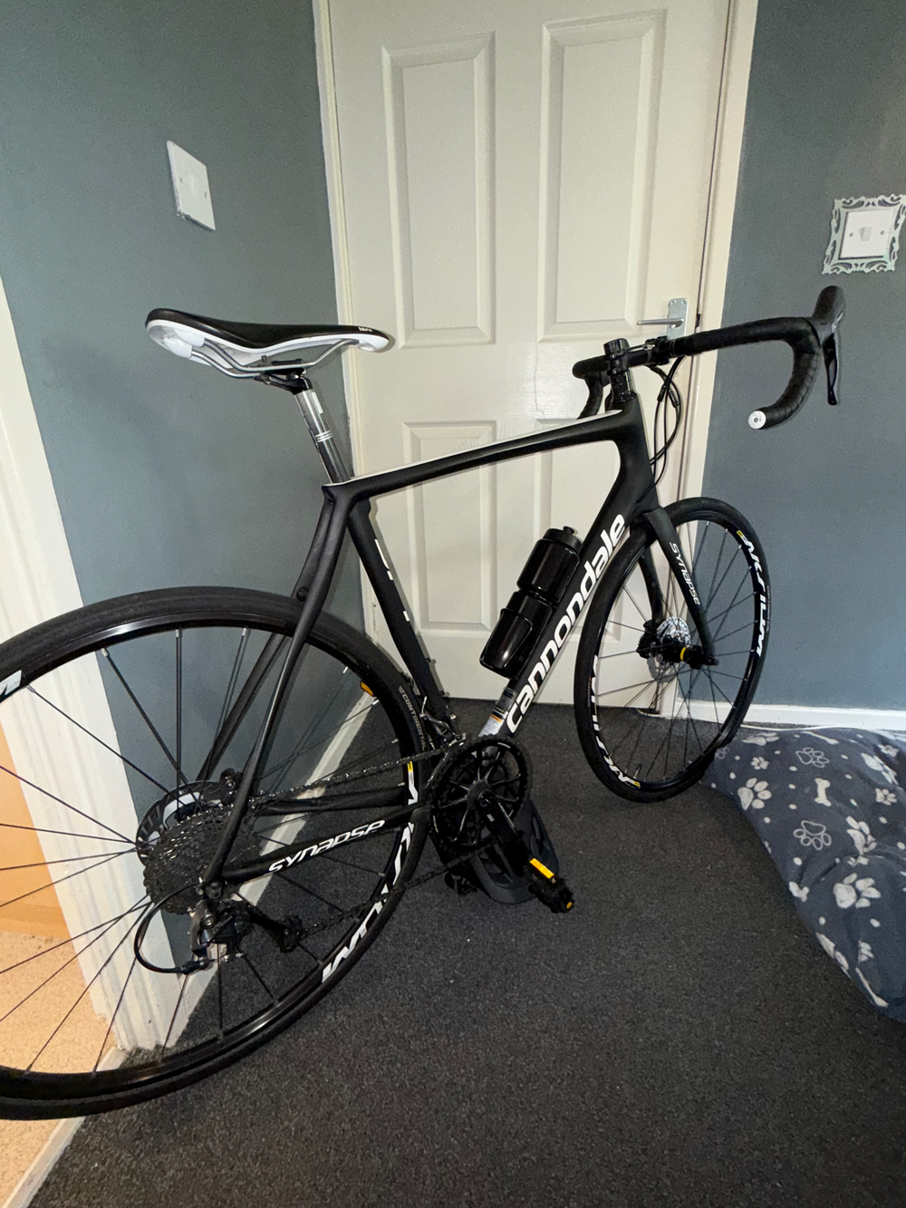 Cannondale Synapse Carbon Disc Ultegra 2020