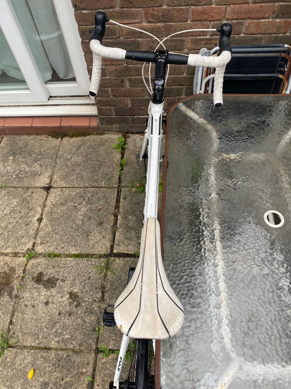 Fuji Sportif 2.3 2022