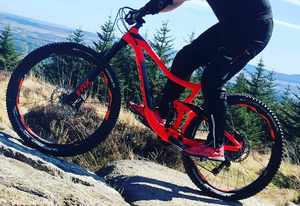 Giant Trance 2 2019