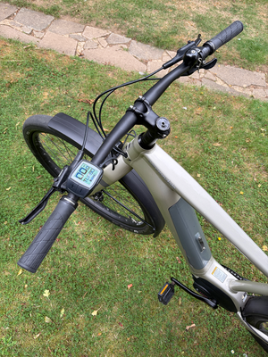 Cannondale Canvas Neo 2 2021