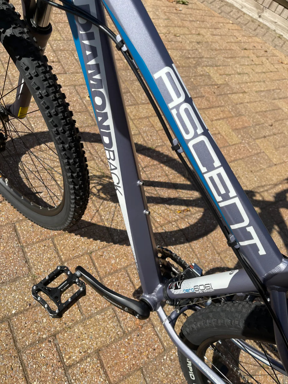 Diamondback Ascent 29r 2014