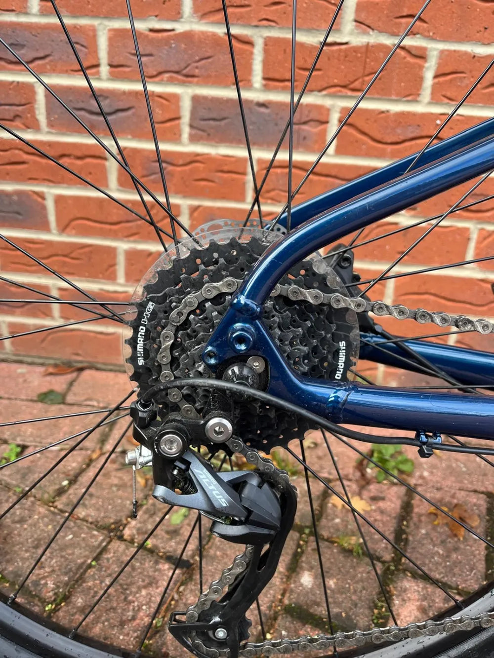 Trek Dual Sport 2 Gen 5 2024