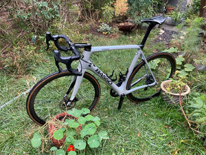 Basso Diamante 2021