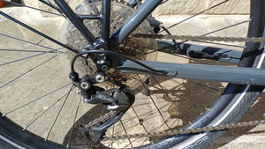 Trek Allant+ 5 2021