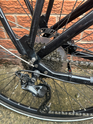 Raleigh Centros Tour