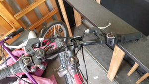 Tiger cycles Hazard 2019