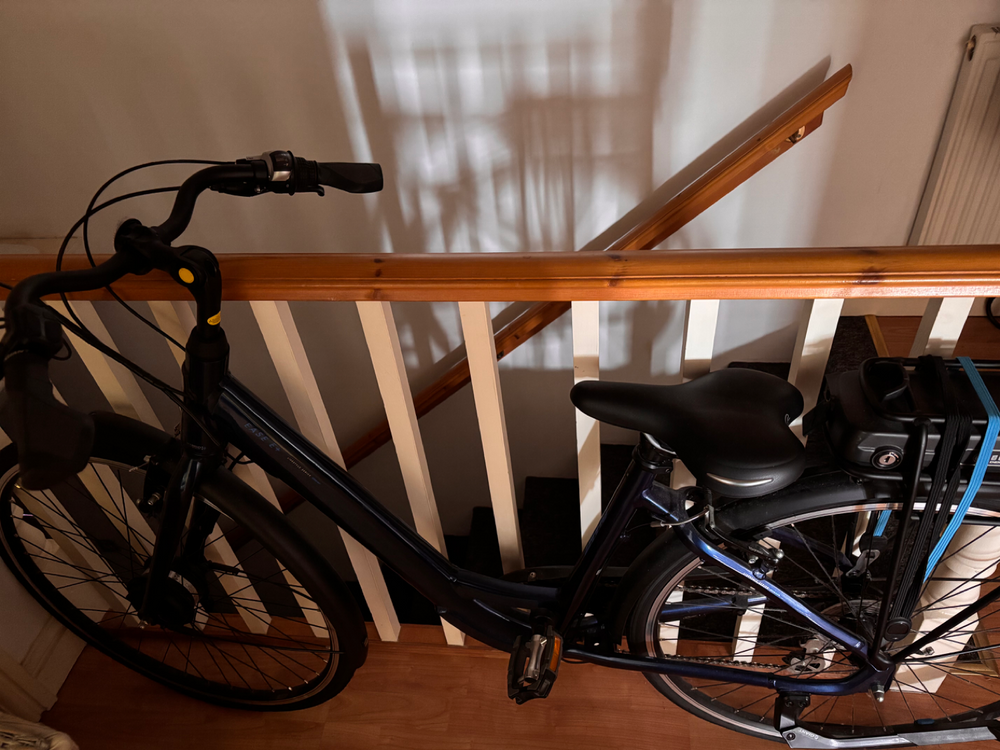 Giant Ease-E+ 2 Low Step Through 2020