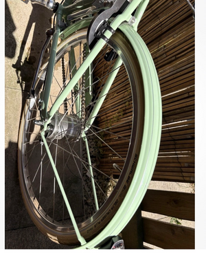Pashley Britannia 5 Speed 2025