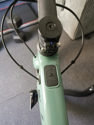 Vitus Al sn99 green l 2025