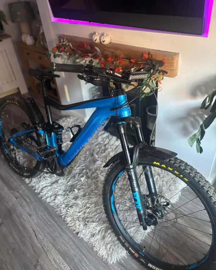 Giant Trance E+ 2 Pro 2019