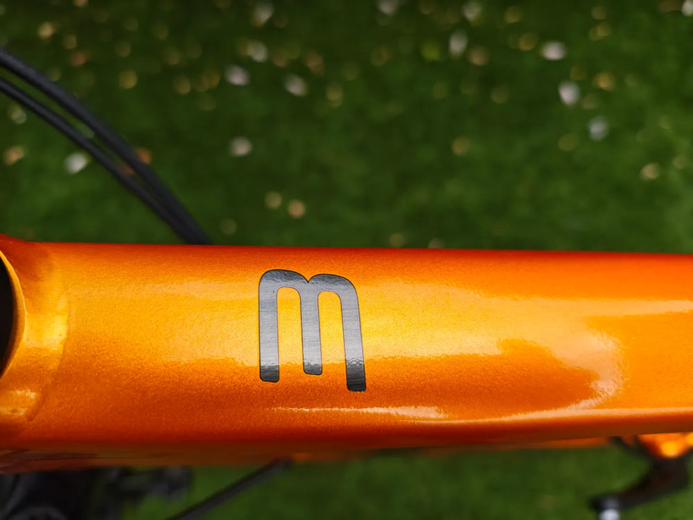 Trek Dual Sport 3 Disc 2021