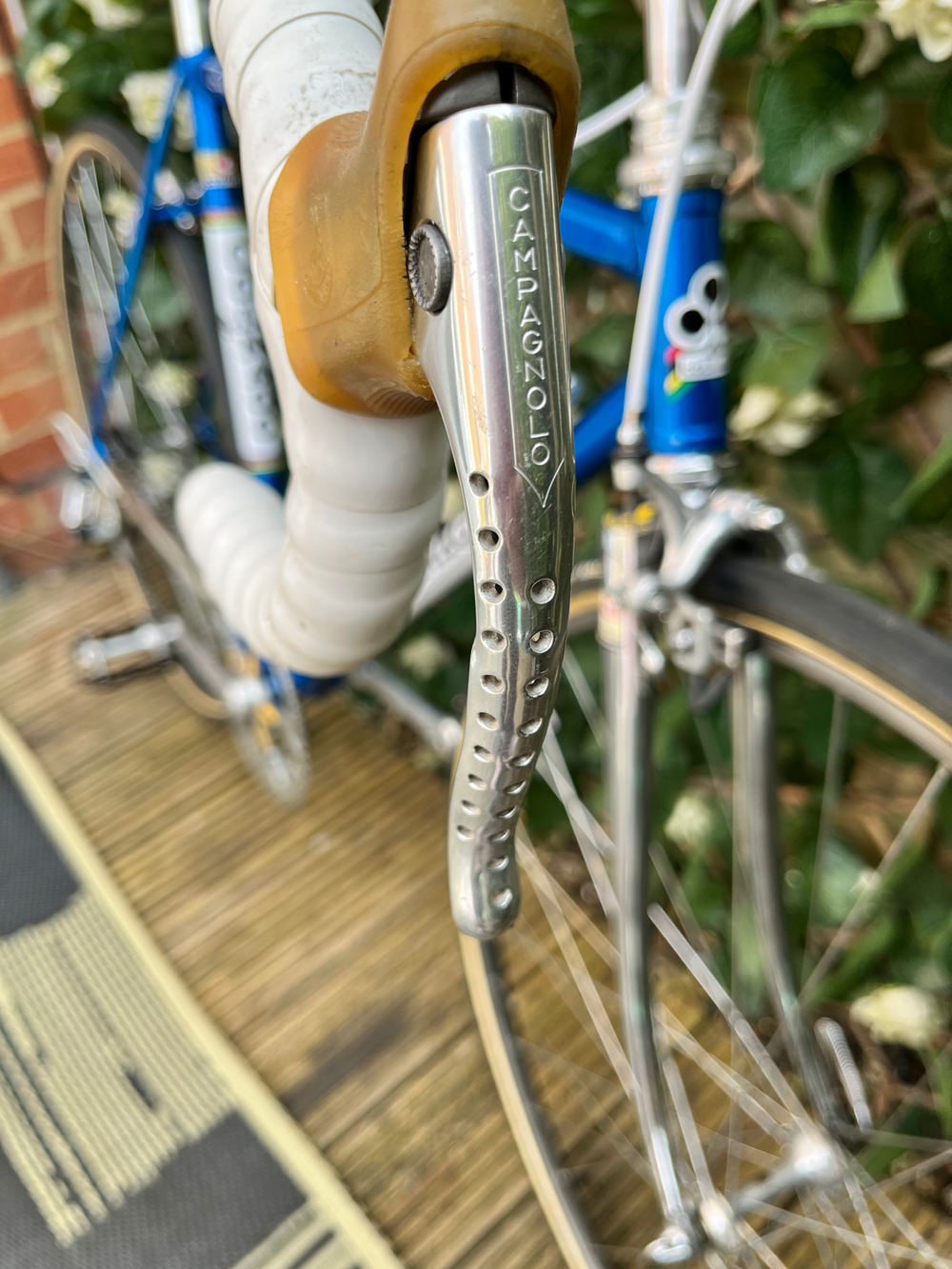 Colnago Super profil 1981