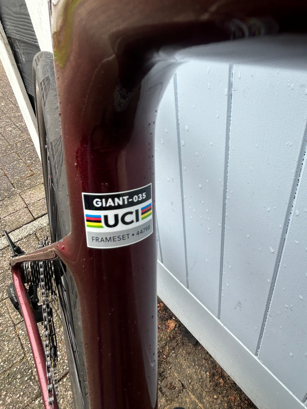 Giant Defy Advanced Pro 2 2024