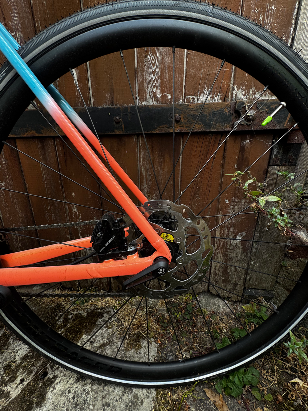 Trek Émonda ALR 5 Disc 2023