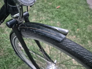 Pashley Princess Sovereign 5 Speed
