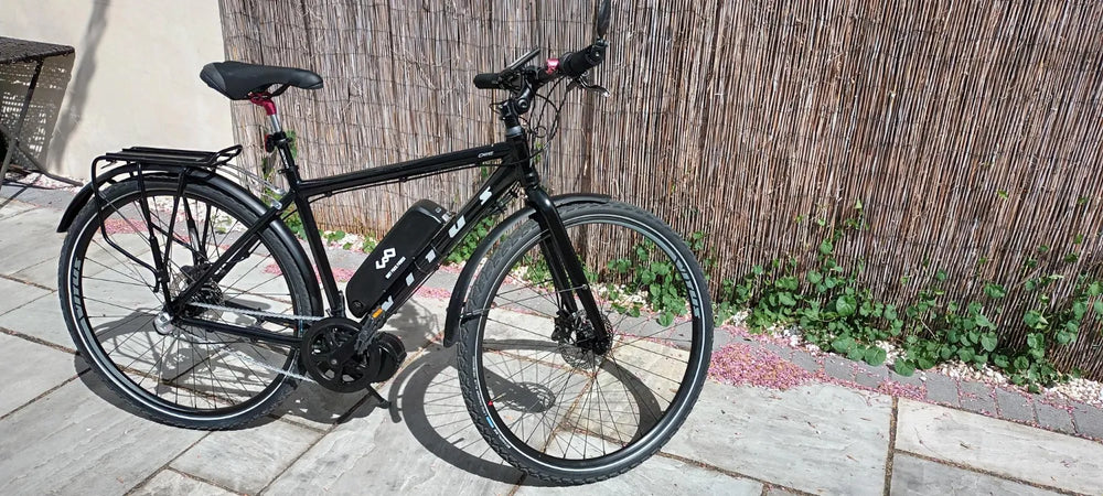 Vitus Dee VR Nexus 2021