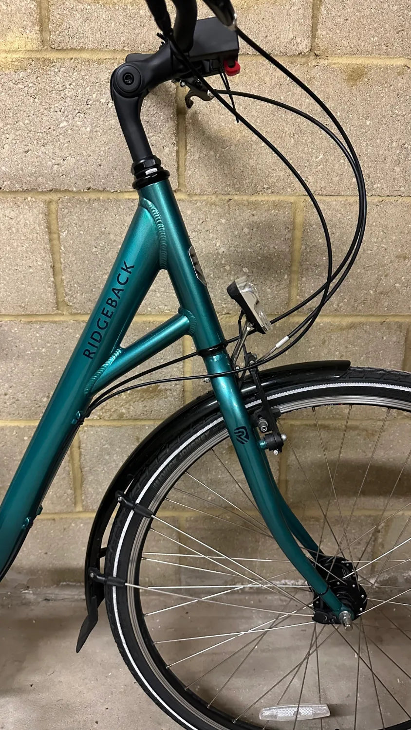 Ridgeback Avenida 7 2024