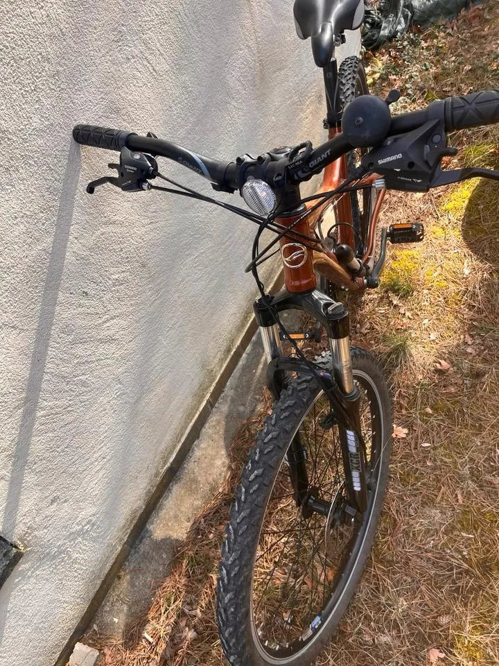 Giant Yukon Disc 2006