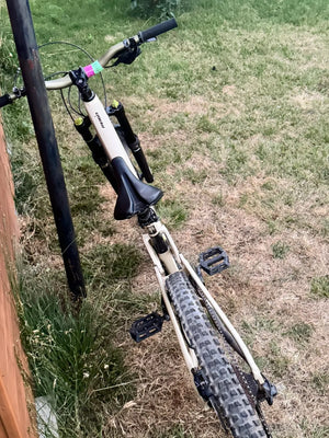 Giant Reign SX 1 2019
