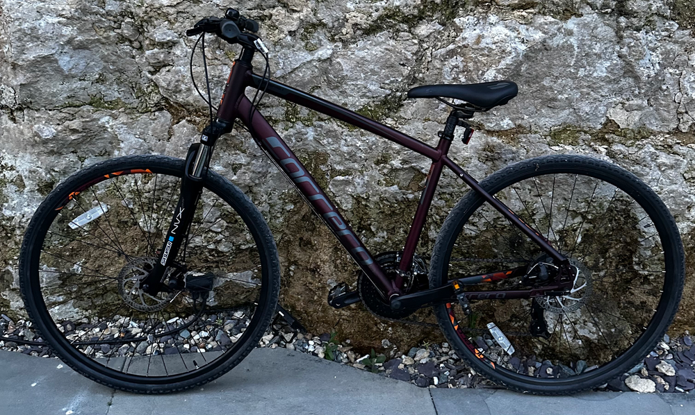 Carrera 2.0 Hybrid, 20inch ladies bike 2022