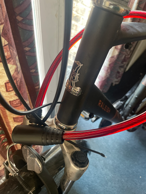 Raleigh Pioneer 700/38 Low Der Xs Muicolor 2024