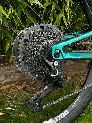 Nukeproof Giga C carbon