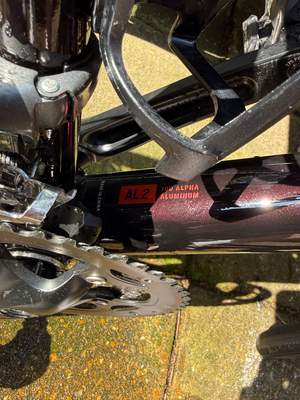 Trek Domane AL 2 Gen 4 2024
