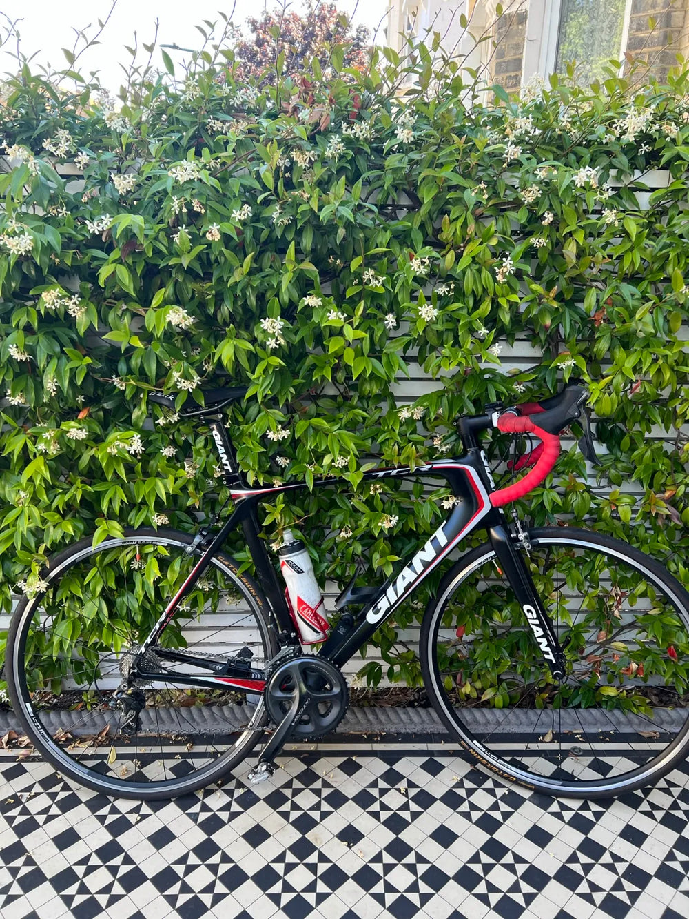 Giant TCR Advanced 1 Ultegra 2014
