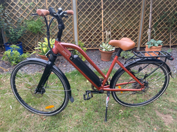 Juicy Roller E-BIKE TQ 73 2019