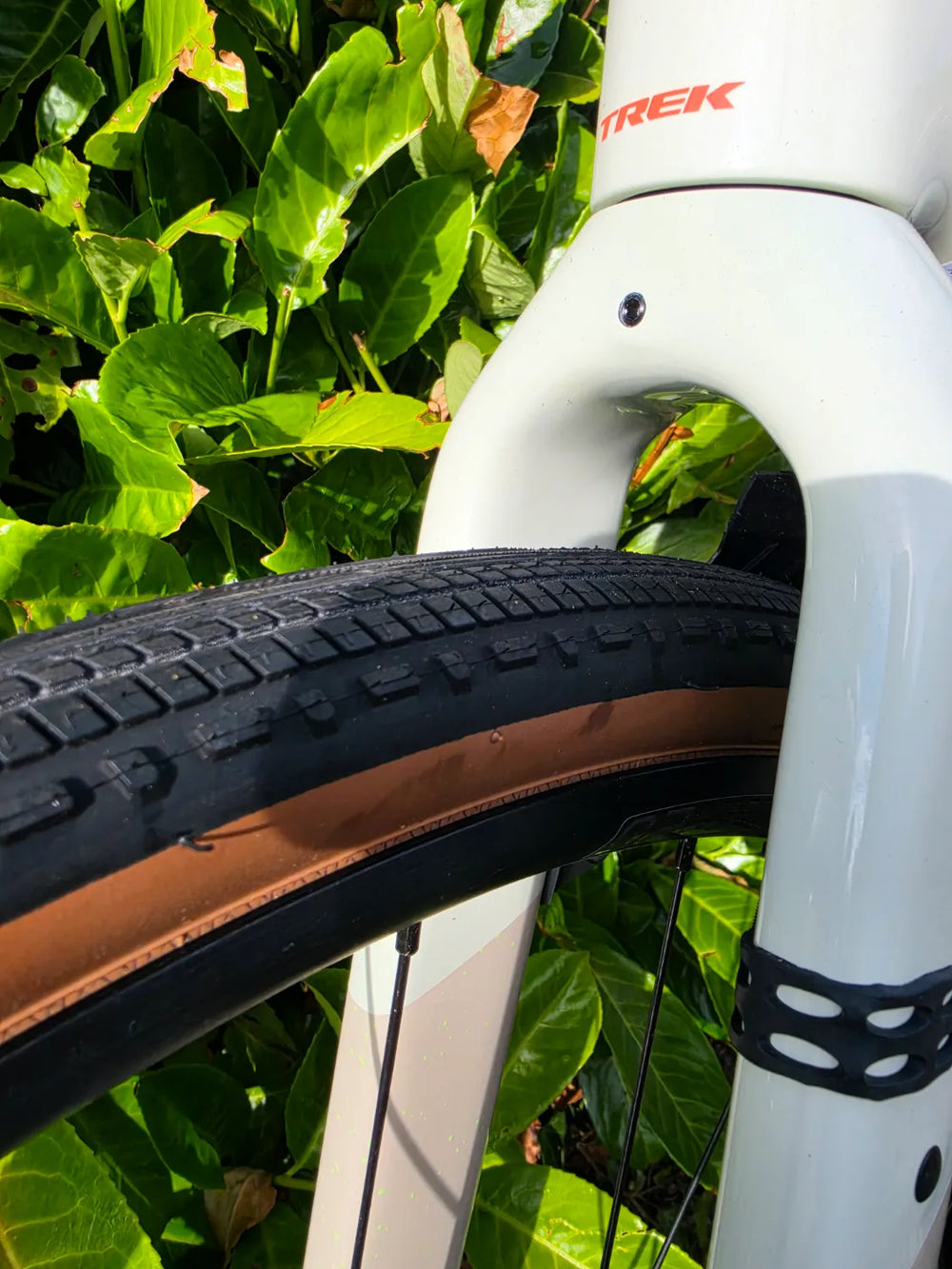 Trek Checkpoint SL 6 AXS Gen 3 Carbon Gravel 2026