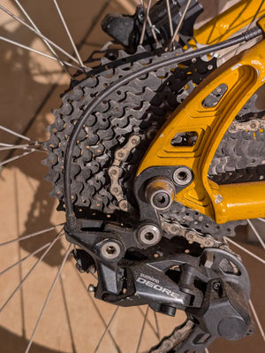 Litespeed Niota AL