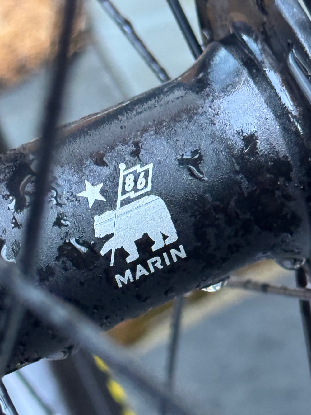 Specialized Kenevo Expert 2019