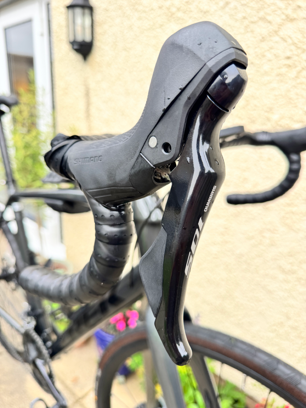 Trek Domane AL 5 Disc 2022