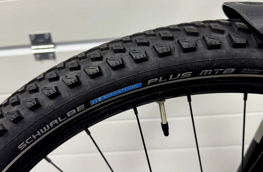 Trek Powerfly 4 625w 2022
