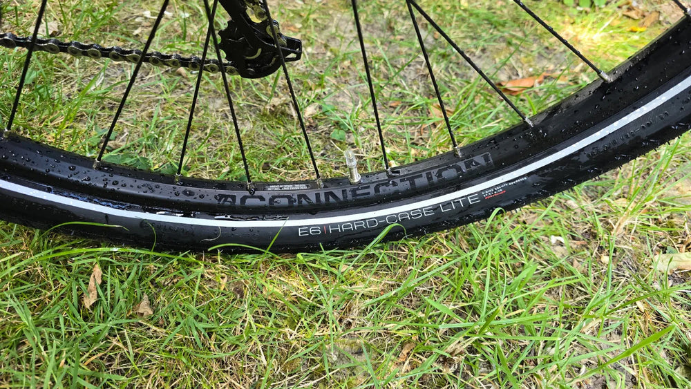 Trek Verve +3 Lowstep 2023