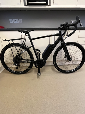 Raleigh Mustang E Comp 2019