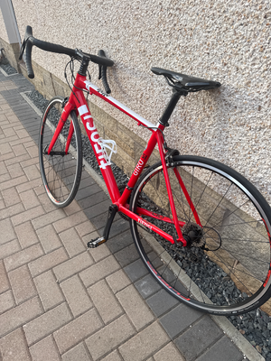 Tifosi Giro 2018