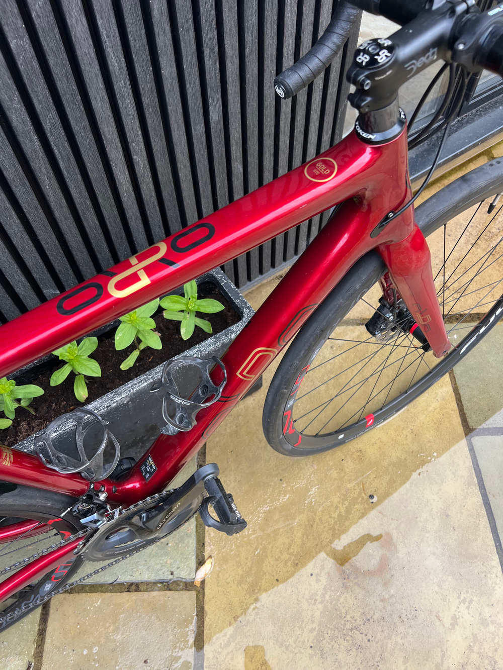 Orro Gold STC Disc Ultegra 2021