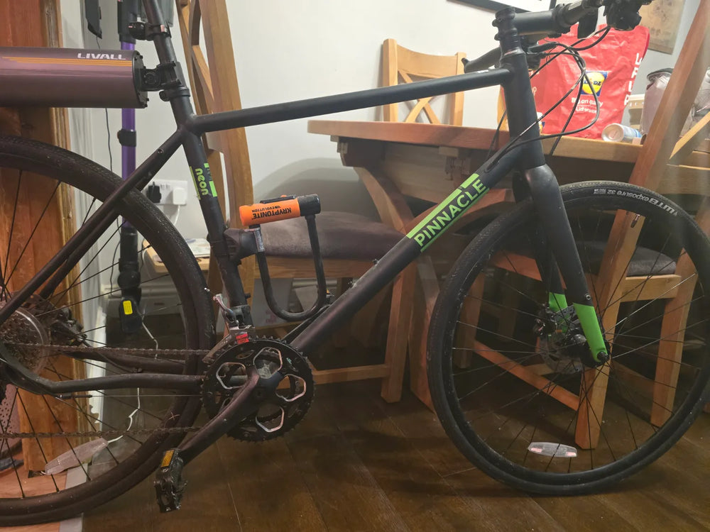 Pinnacle Neon 4 2020