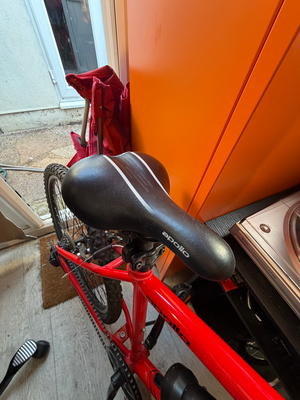Apollo Phaze E 2019