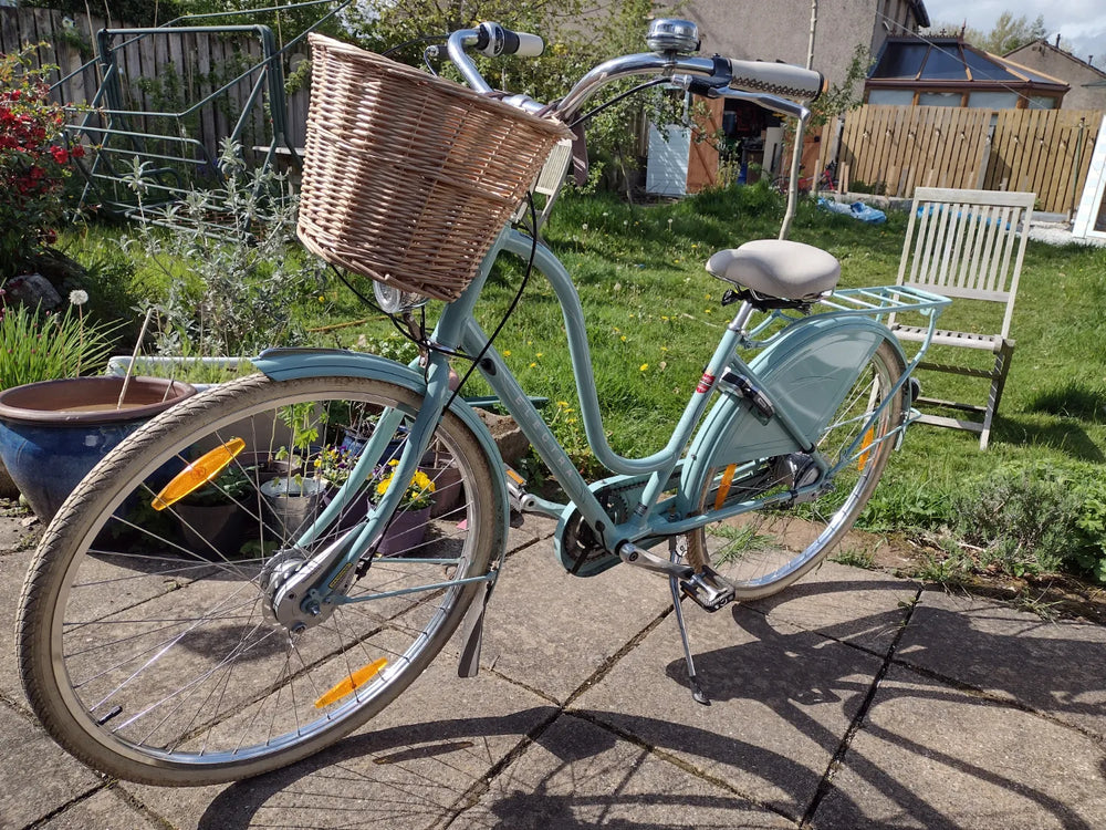 Electra Amsterdam Royal 8i 2019