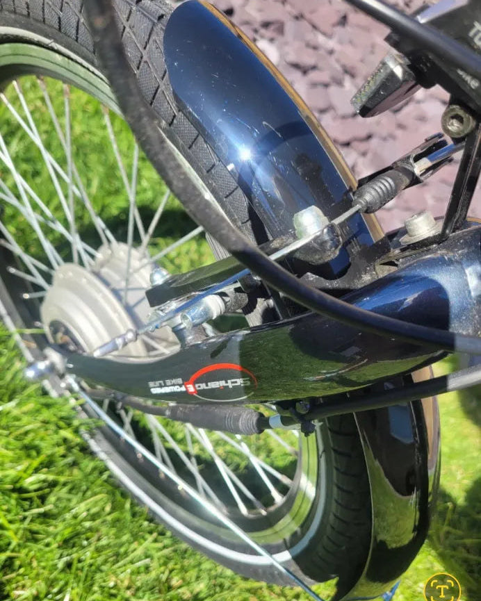 F.lli Schiano E-STAR e bike E-STAR e bike 2020